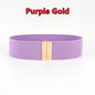 Fashion Women Elastic Band Wide Belts Simple Down Coat Waist Belt Female Buckle Black Strap Dress Decoration Accessories Ladies