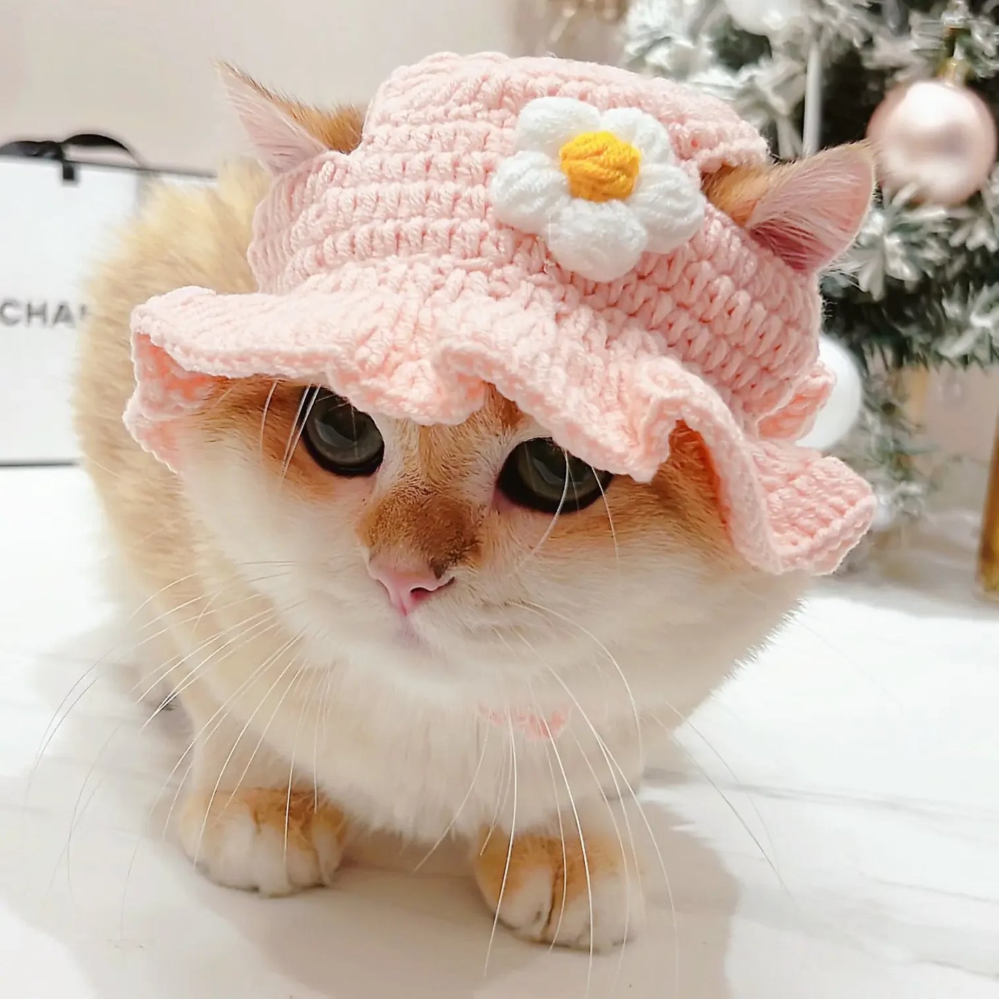 Cute Cat Hat Funny Pets Party Cosplay Headwear Delicate Hemming Pendant Decor Elasticity Knitted Hat Pet Accessories